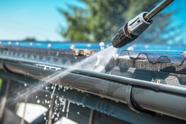 Best Best Pressure Washing Companies  in Cologne, MN