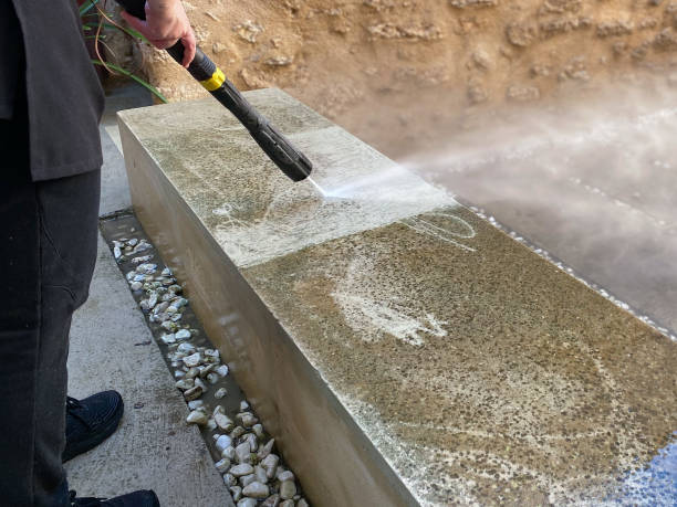 Roof Power Washing Services in Cologne, MN