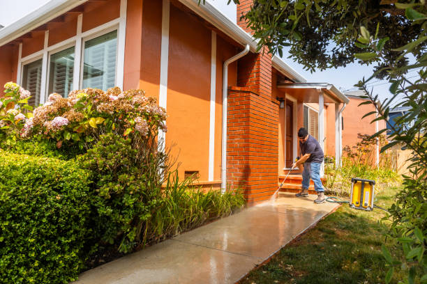 Best Pressure Washing Driveway  in Cologne, MN
